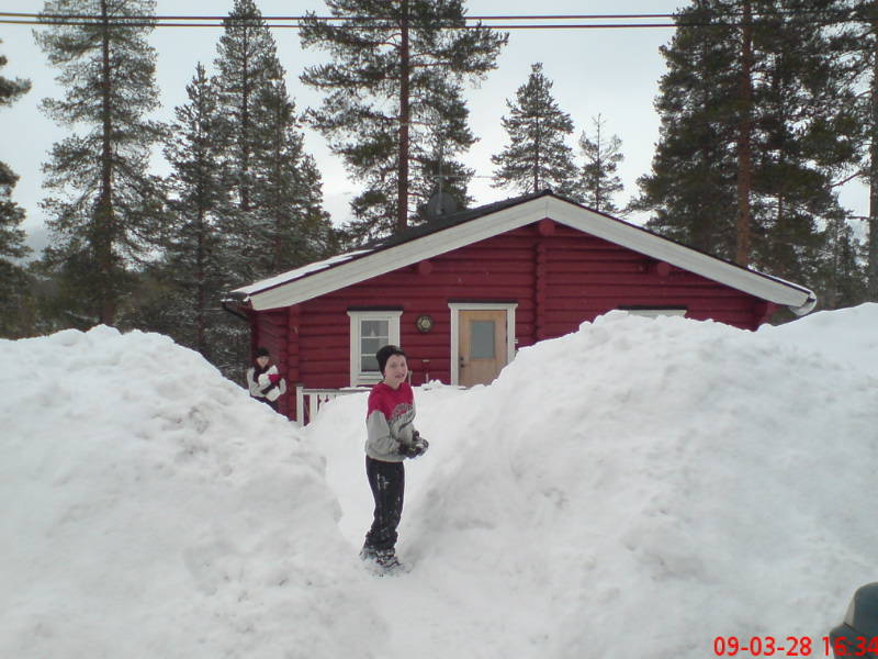 [image-upload-47-758689.jpg]