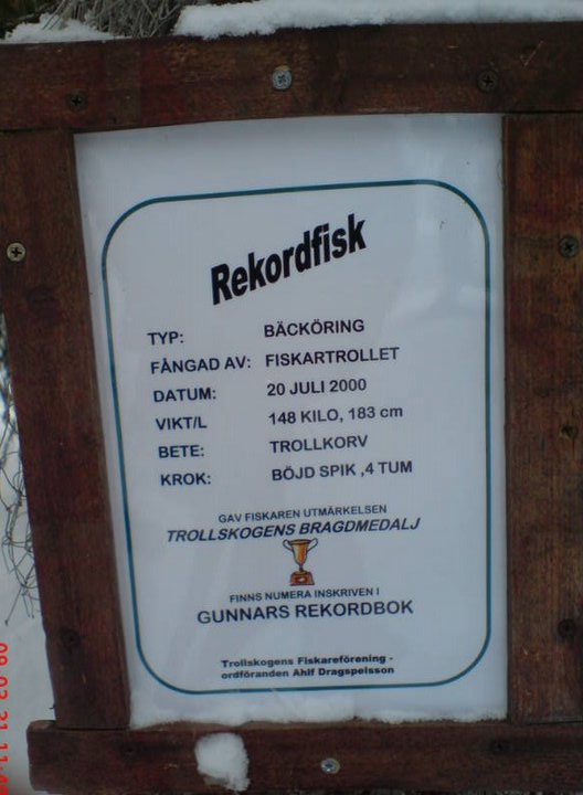 [rekordfisk.jpg]