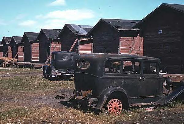 Broken down old cars by condemned houses of migrant farm workers 1941