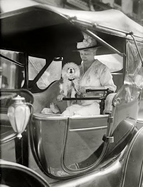 Washington, D.C., 1915. Mrs. Eleanor Foster Lansing in auto