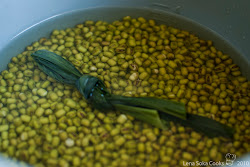 mung kacang bubur ijo bean lena cooks soka