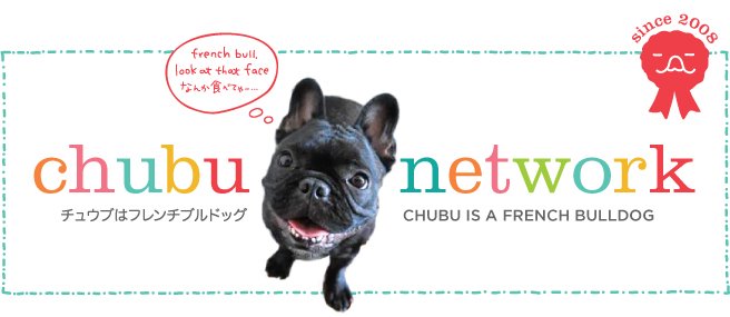 chubu network