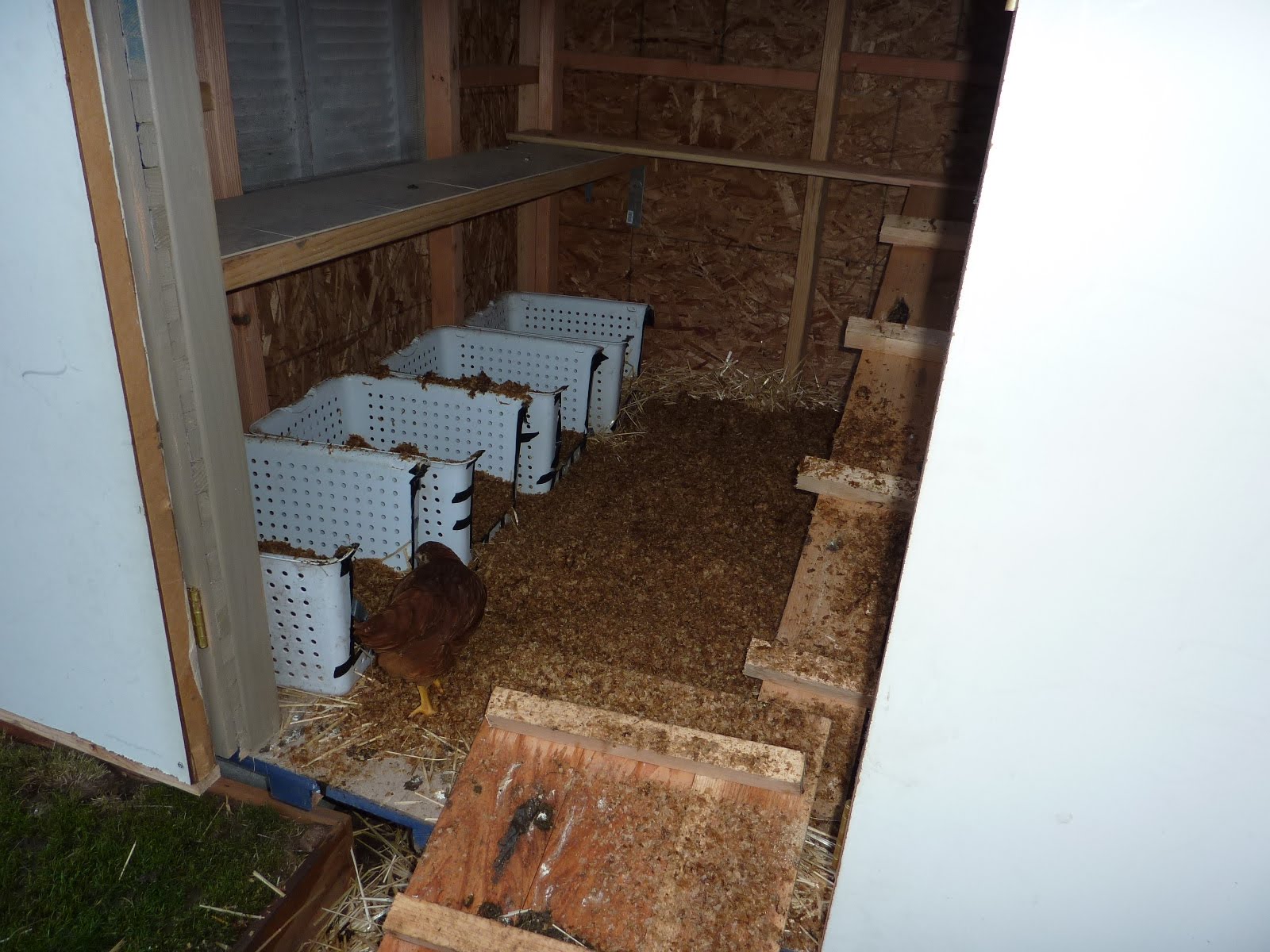 Life is good. Coffee Chaff Chicks