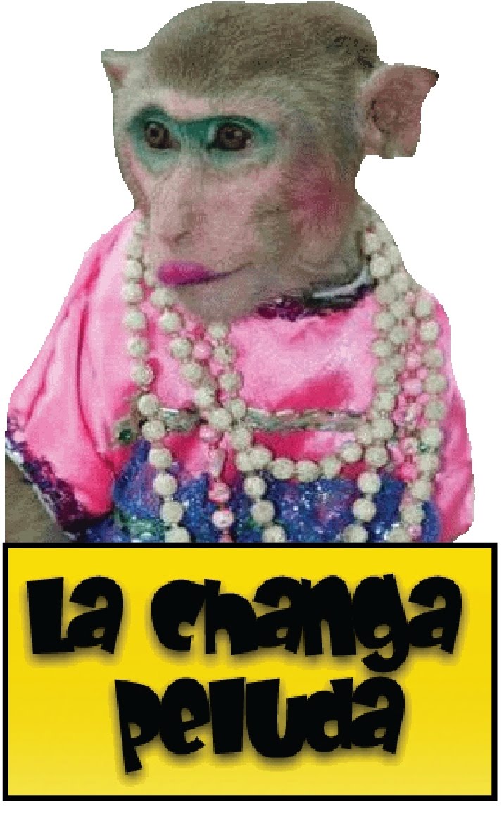 Revista CRITICA DE LOS TUXTLAS La changa peluda rasguña de nuevo