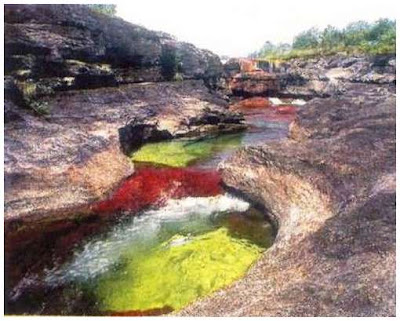 Cano-Cristales-10.jpg