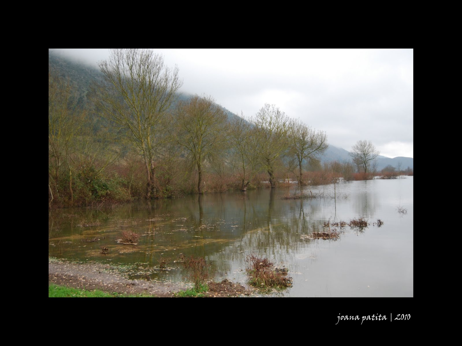 [Polge+de+Minde+xx.jpg]