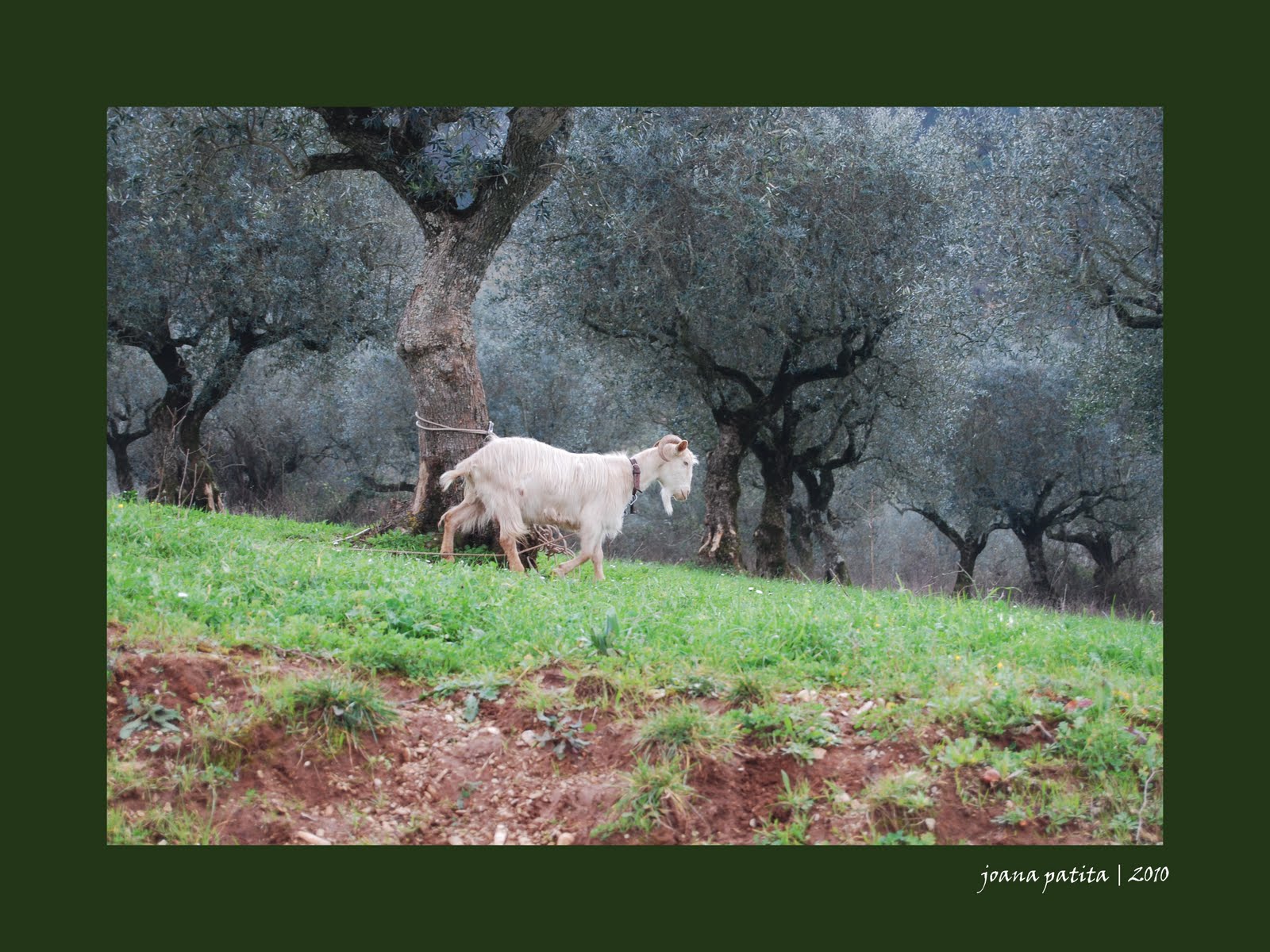 [20100206_Minde6.jpg]