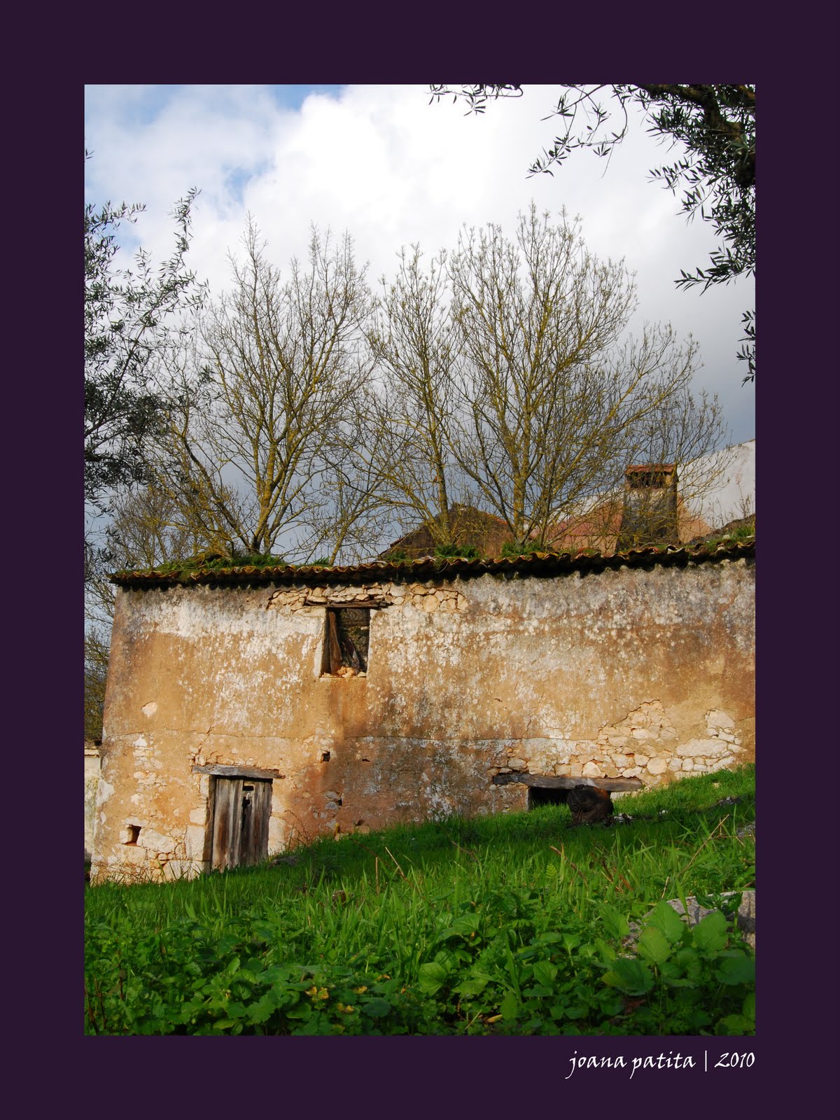 [20100206_Minde2.jpg]