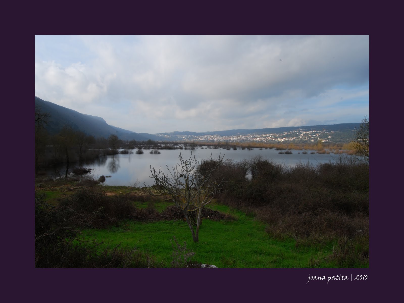 [20100206_Minde3.jpg]