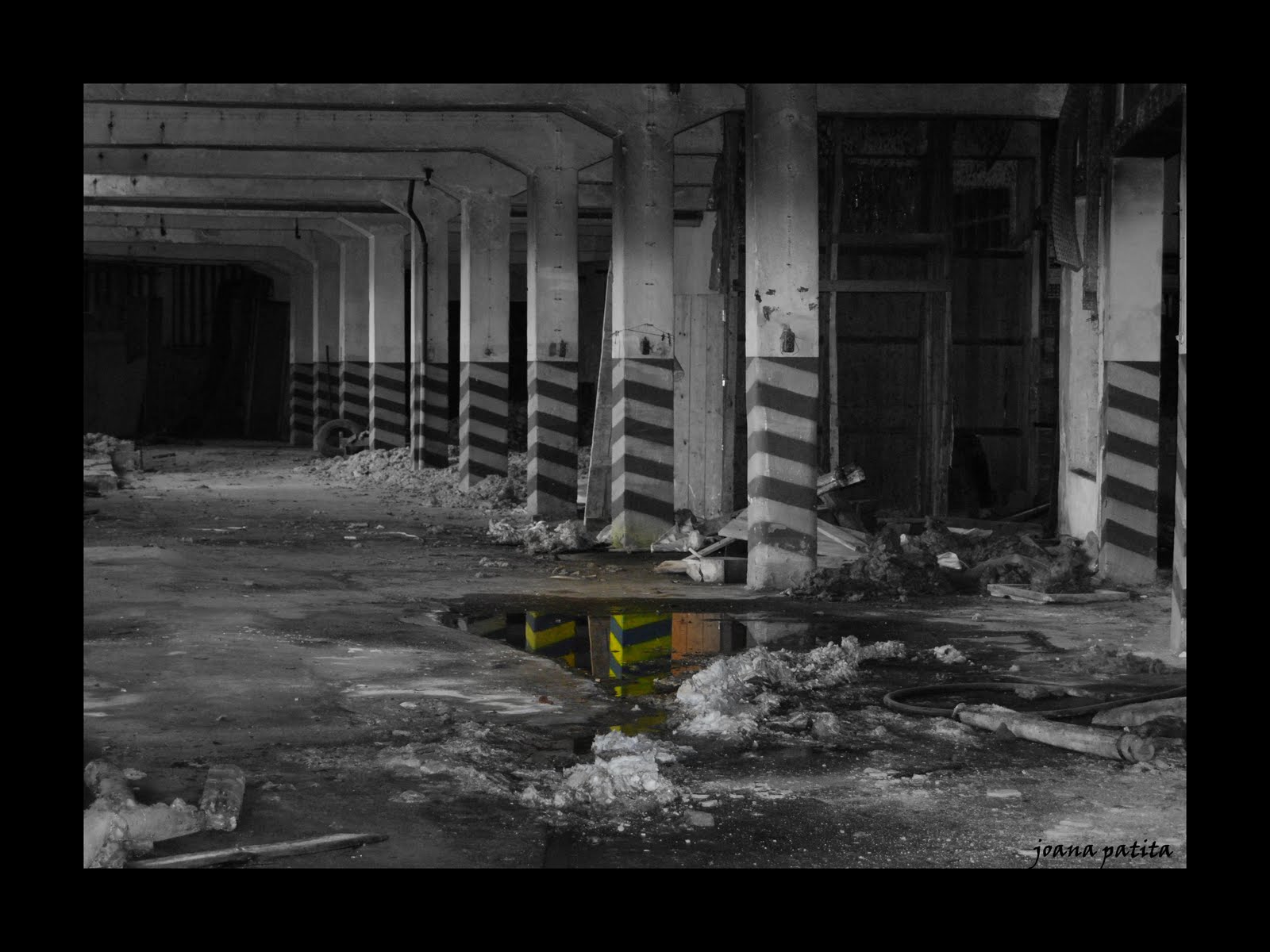 [alvesraposo_ii.jpg]