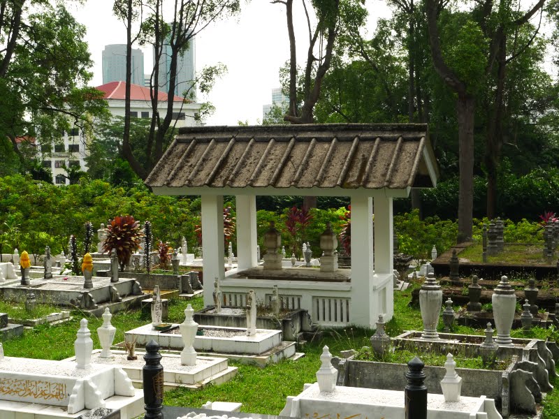 P1070179a.jpg