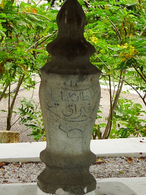 P1070181a.jpg