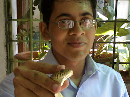 holding a snake in my hand