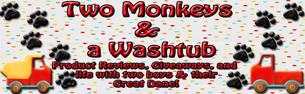Two Monkeys & A Washtub