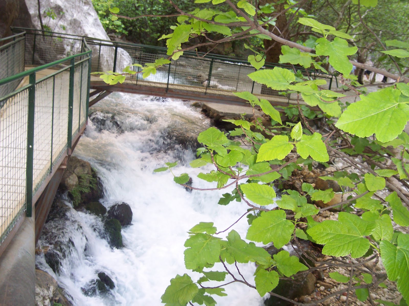 DALGALARI AŞMAK: Güzellikler