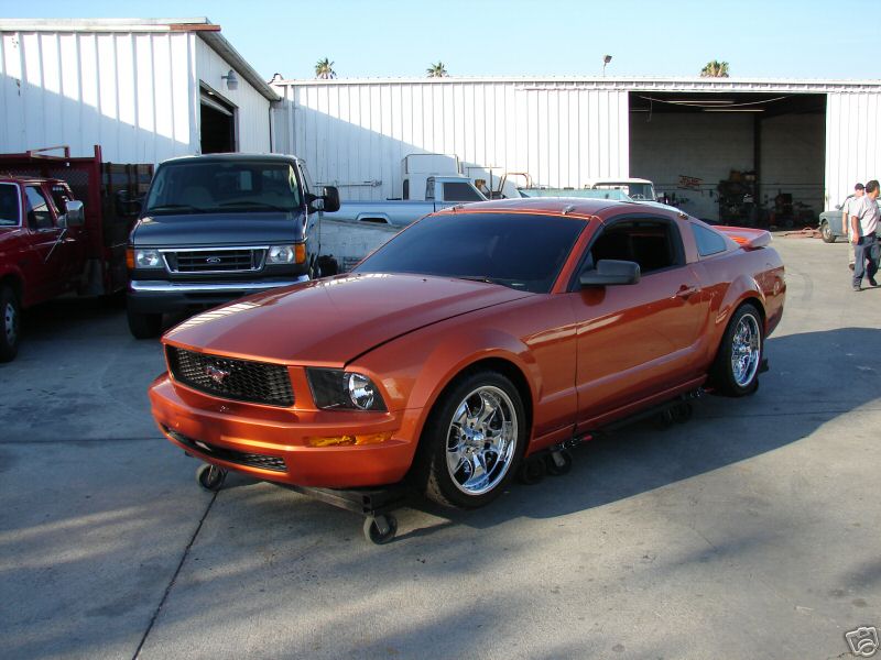 [rezza foournito_MustangCut_15.JPG]