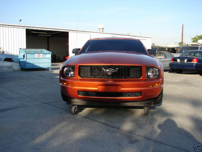 [rezza foournito_MustangCut_16.JPG]