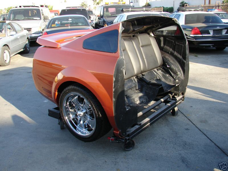 [rezza foournito_MustangCut_7.JPG]