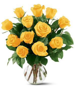 Dozen Of Yellow Roses picture