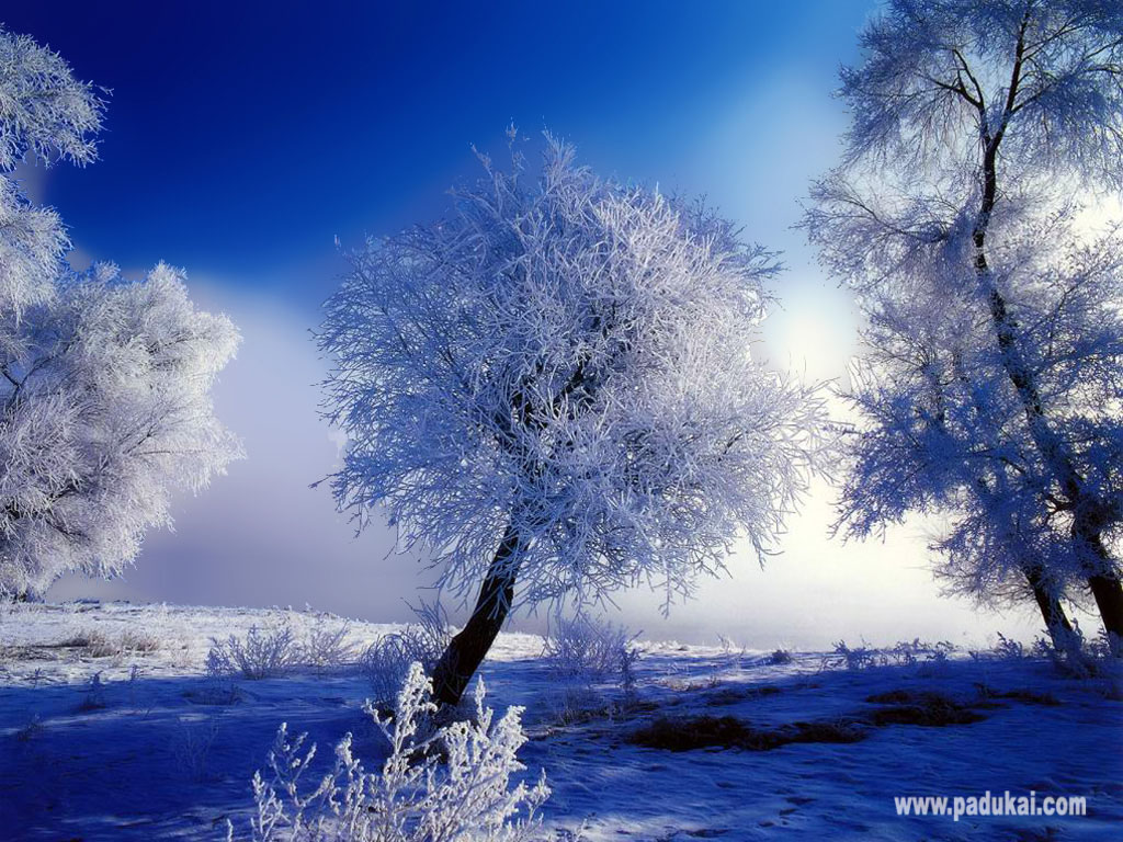 http://1.bp.blogspot.com/_FohBnWD_E0s/SxPqchJdM4I/AAAAAAAABhk/36NHFJT2uOw/s1600/Beautiful+Snow+Scenery+Wallpaper+free+download.jpg