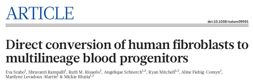 Dissertation meaning picture