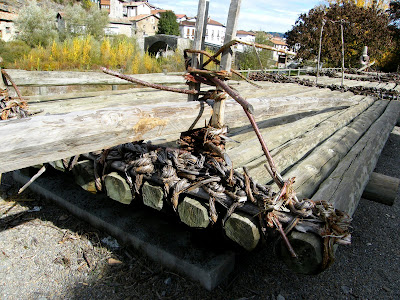 DIA 3. Valle de Roncal, Sangüesa y Olite - Otoño 2009 . Navarra (4)