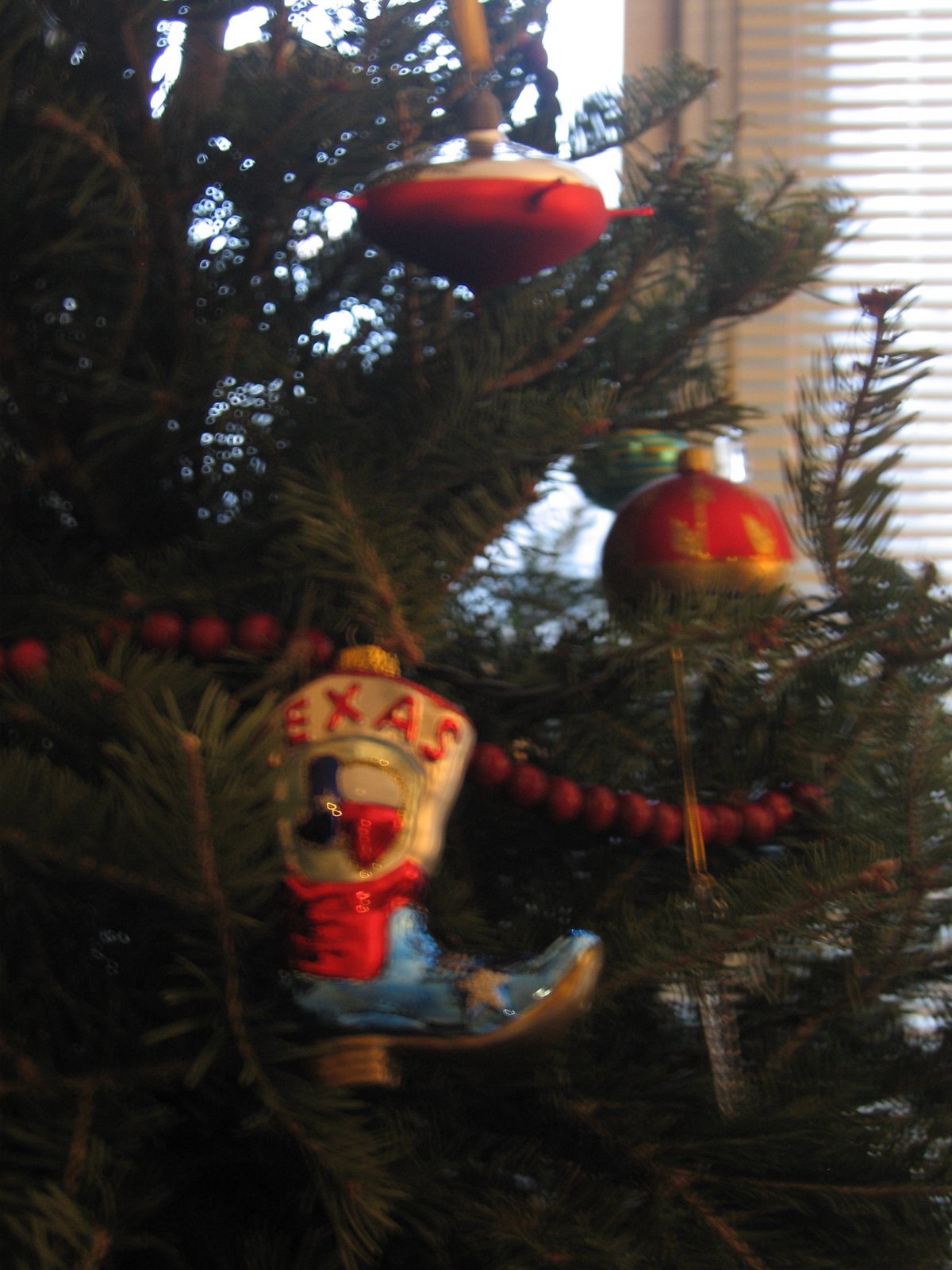 [Christmas2008+006.jpg]