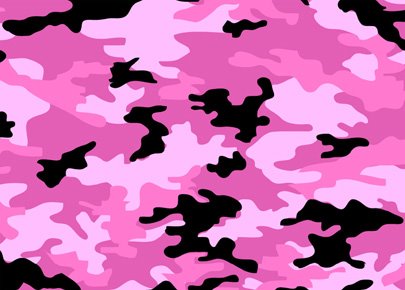 [Camoflage.jpg]