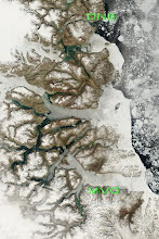 Satellite pictures/Sea-ice