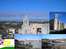 RINCONES DE LA RIBERA DEL DUERO