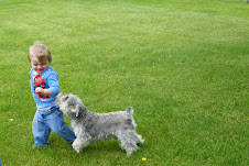 Puppy Love
