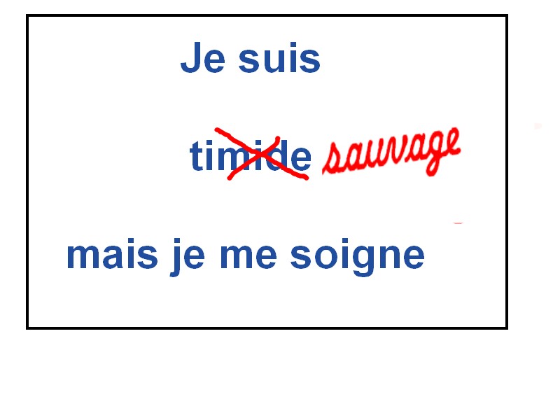 CoucouCanada Je suis sauvage mais je me soigne CoucouCanada Je suis sauvage mais je me soigne