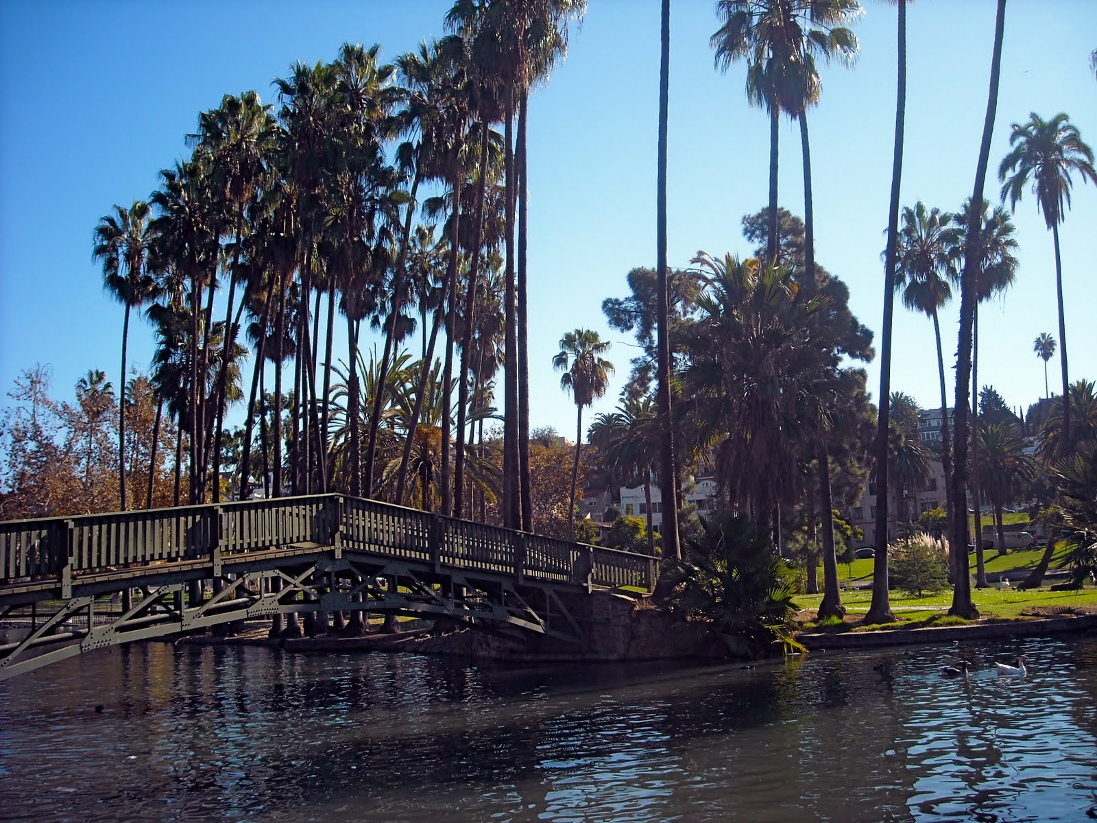 Los Angeles Love Affair: Echo Park
