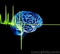 [brain+image.jpg]