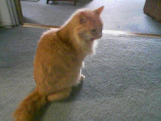 King Kitty