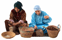 Concassage de l'huile d'argan