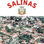 Salinas - MG