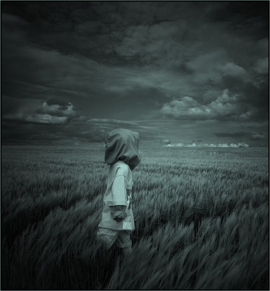 [corn_fields_28.jpg]