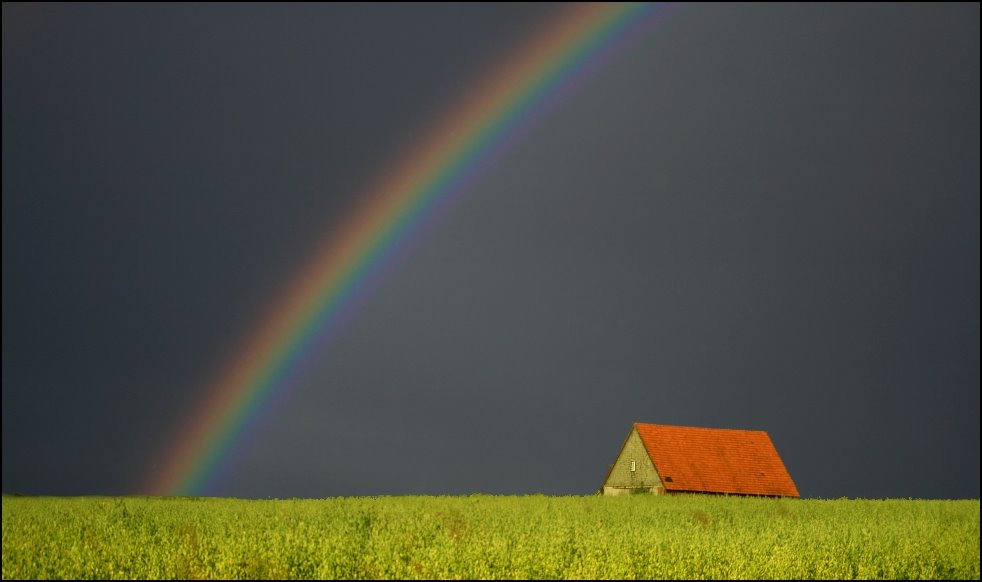 [corn_fields_23.jpg]