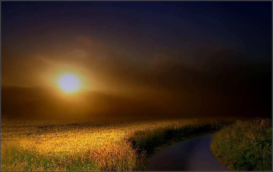 [corn_fields_19.jpg]