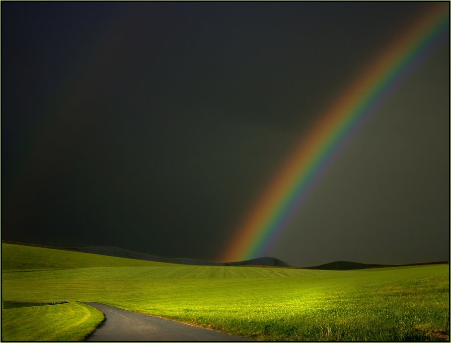 [corn_fields_15.jpg]