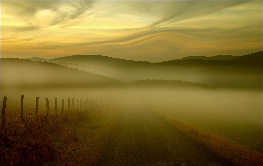 [corn_fields_02.jpg]