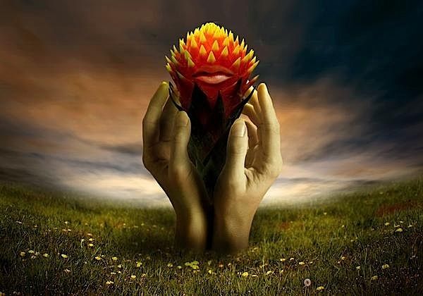 [ben_goossens_17.jpg]