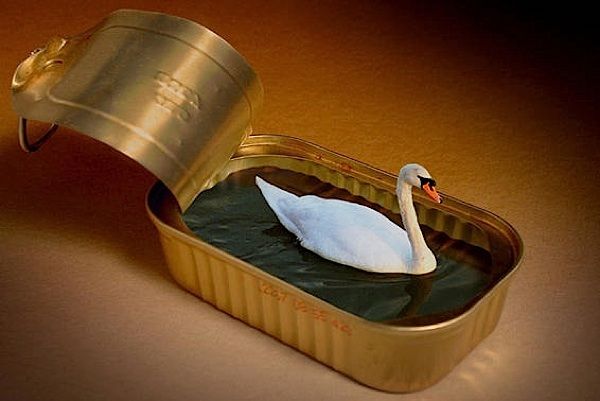 [ben_goossens_12.jpg]