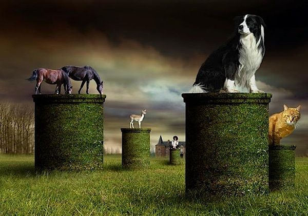 [ben_goossens_05.jpg]