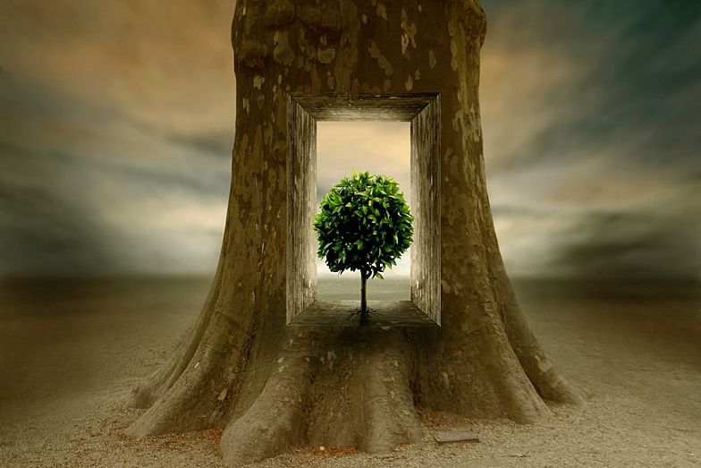 [ben_goossens_03.jpg]