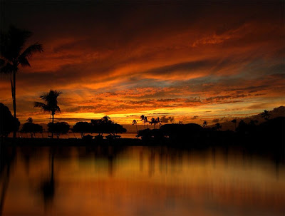 35 espantosas fotos manipuladas por Peter Holme 23