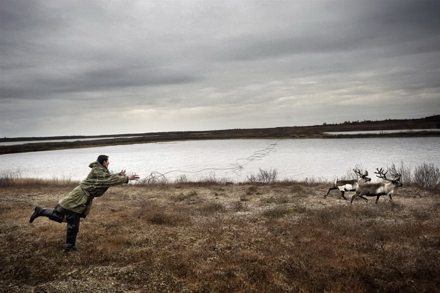 [Russia’s+Reindeer-herdsmen-5.jpg]