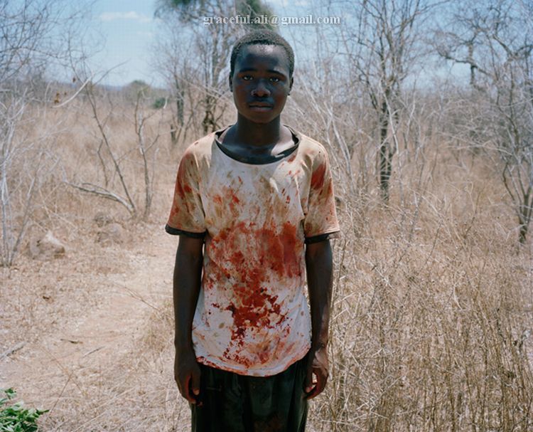 [Dead+Elephant+in+Zimbabwe8.jpg]