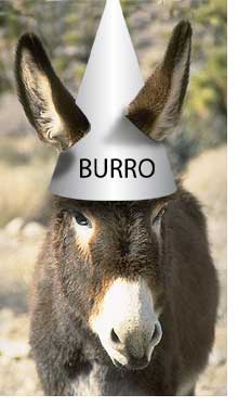 010914_ca_burros%255B1%255D.jpg